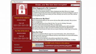 Вирус WannaCry и как защититься от него